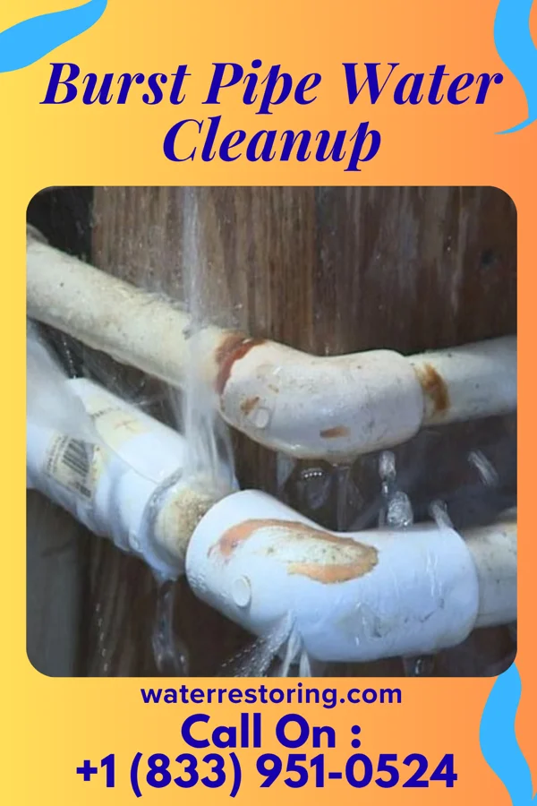 Burst Pipe Water Cleanup in Middleport, OH