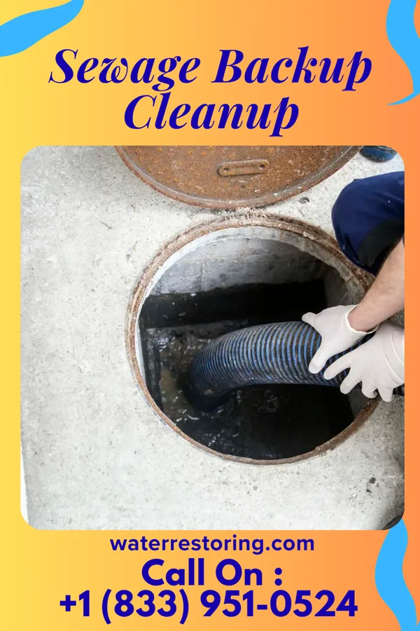 Sewage Backup Cleanup in Middleport, OH